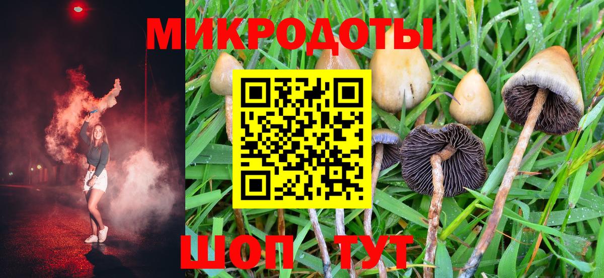 Галлюциногенные грибы Cubensis Каменск-Шахтинский