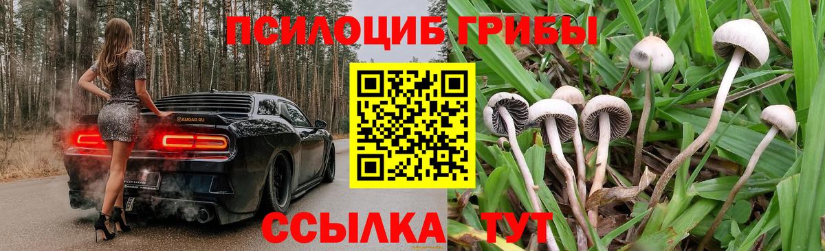 продажа наркотиков  Галлюциногенные грибы ЛСД  Вход с VPN  Псилоцибиновые грибы GOLDEN TEACHER  Каменск-Шахтинский 
